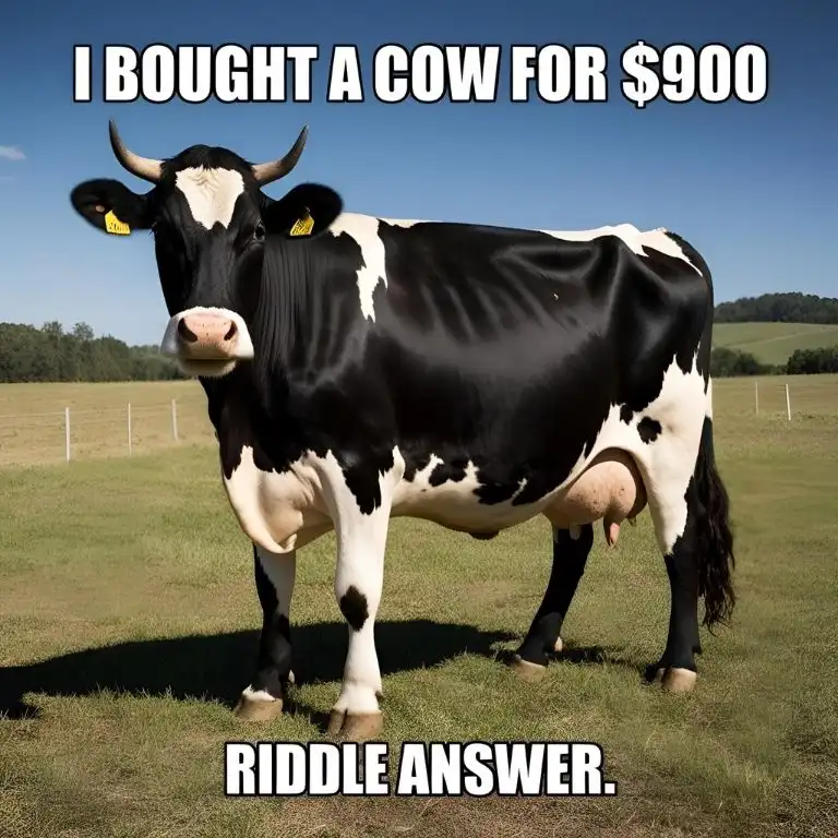 i bought a cow for $900 riddle answer