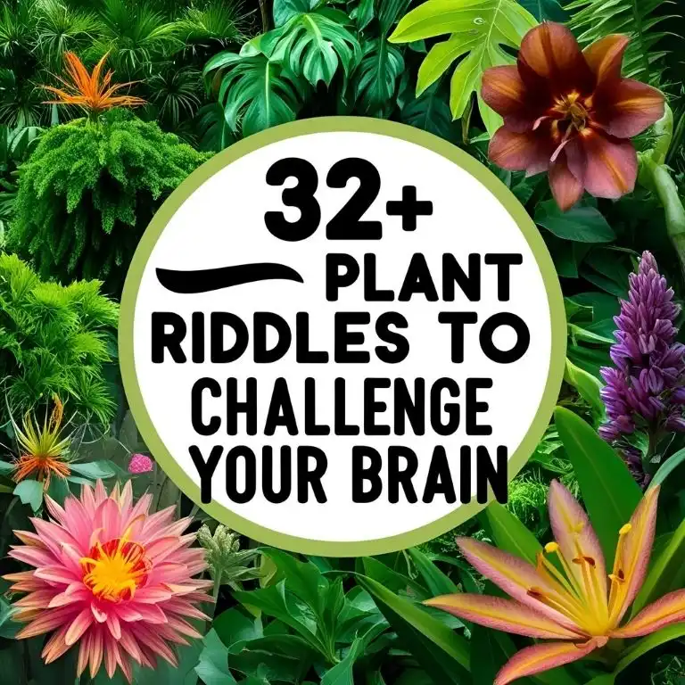 Plant Riddles to Challenge Your Brain