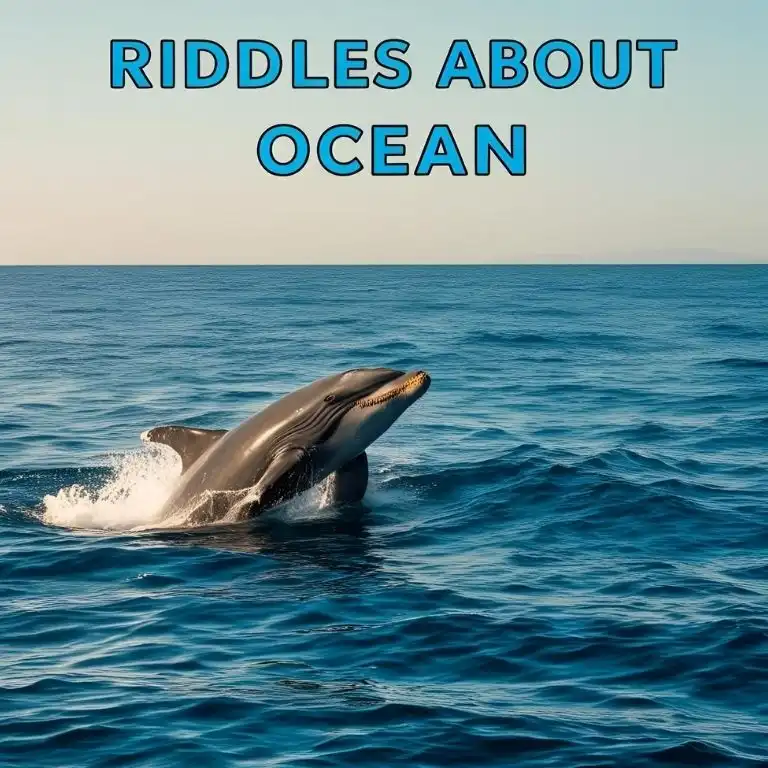 riddles about ocean