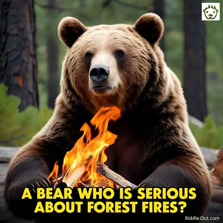 a bear who is serious about forest fires riddle