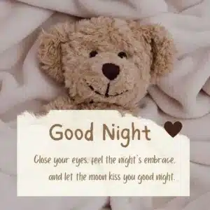 80+ Funny & Sarcastic Good Night Quotes