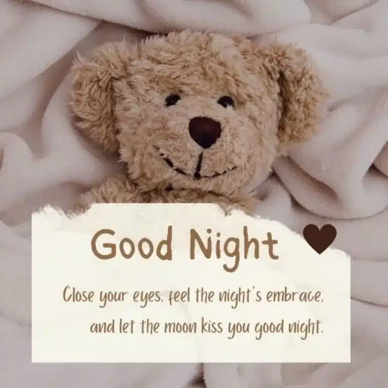 Funny & Sarcastic Good Night Quotes
