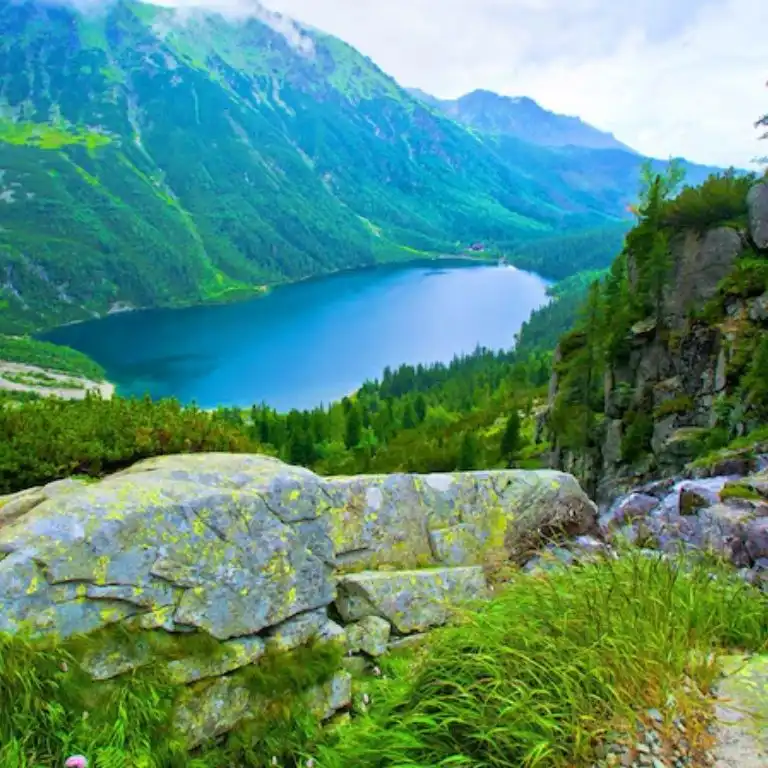 Quotes About Nature