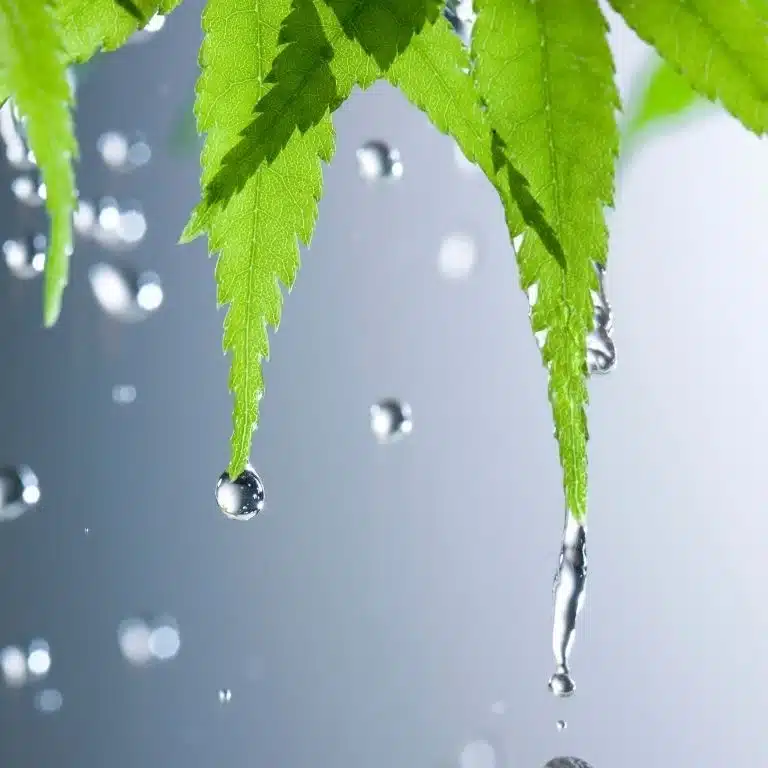 Rain Quotes For Instagram