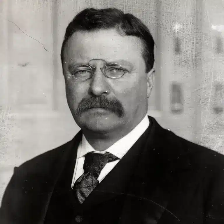 80+ Teddy Roosevelt Quotes