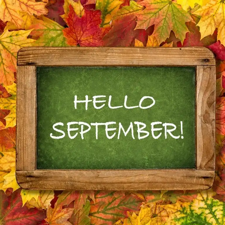 80+ Hello September Quotes