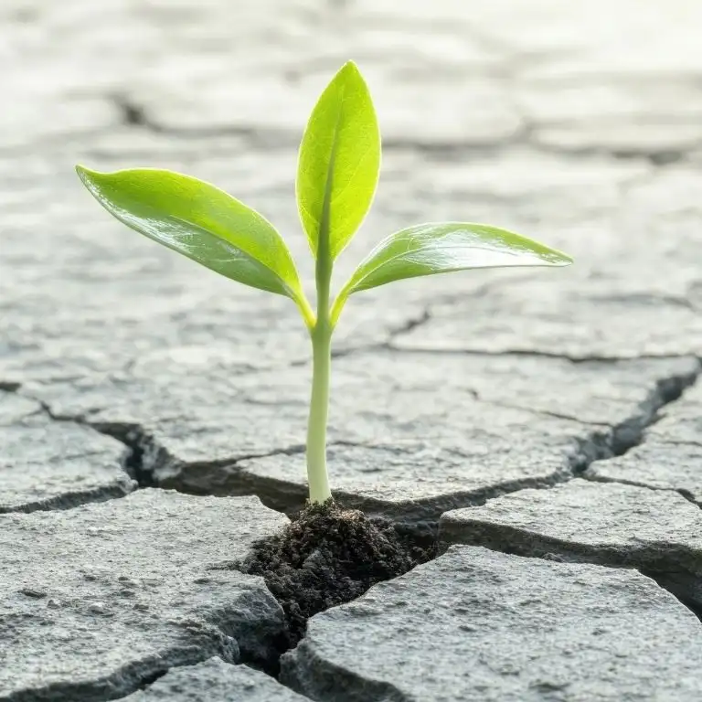 80+ Positive Hope Quotes