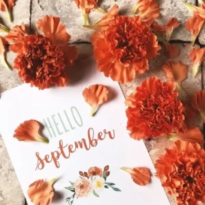 80+ September Quotes