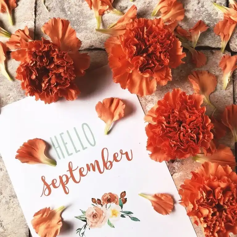 80+ September Quotes