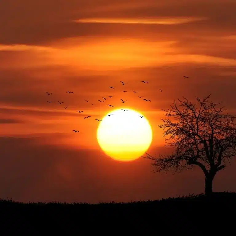 80+ Sunset Quotes Short
