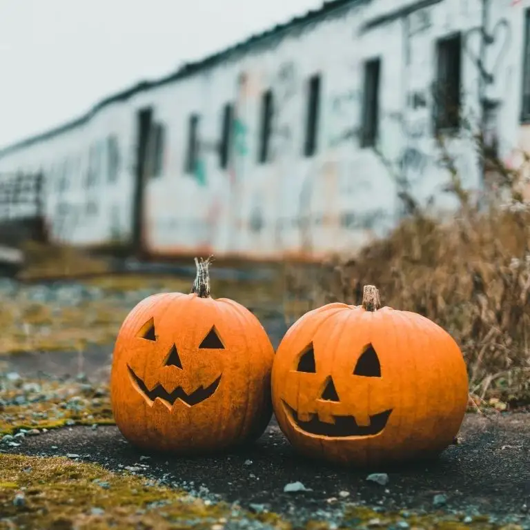 80+ Halloween Quotes for Instagram