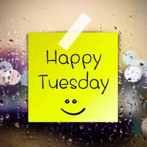 80+ Tuesday Quotes Short