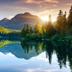 80+ Beautiful Friday Quotes