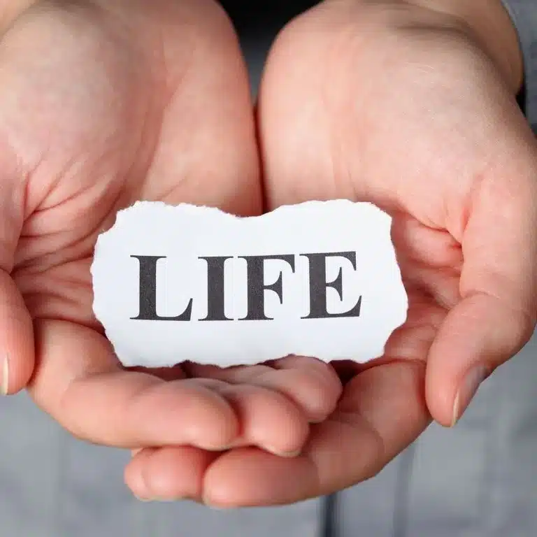 80+ Beautiful Quotes About Life