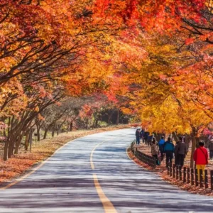 80+ Hello November Quotes Inspirational