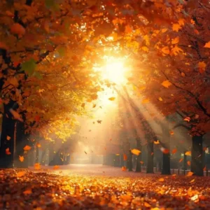 80+ November 1st Quotes