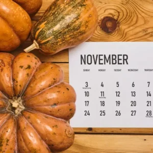 80+ November Month Quotes