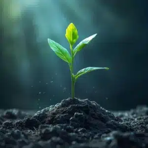 80+ Quotes About Growth