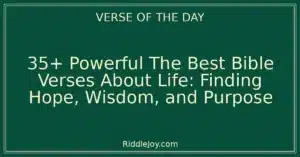 35+ Powerful The Best Bible Verses About Life: Finding Hope, Wisdom, and Purpose